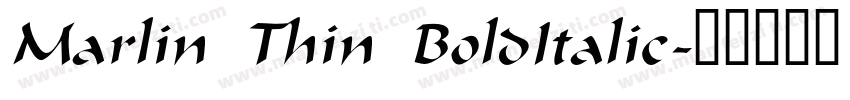 Marlin Thin BoldItalic字体转换